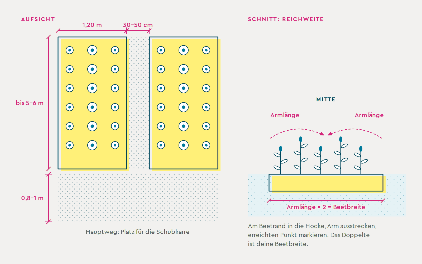 Maße: Beetbreite 1,20 m, Weg 30–50 cm, Hauptweg 0,8–1 m, Armlänge mal zwei ergibt die Beetbreite